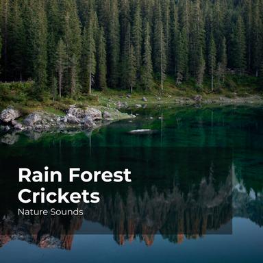 Nearby Flowing River