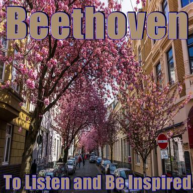 Beethoven Symphony No. 5 (1St Movement) Piano Solo