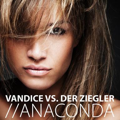 Anaconda (Original Mix)