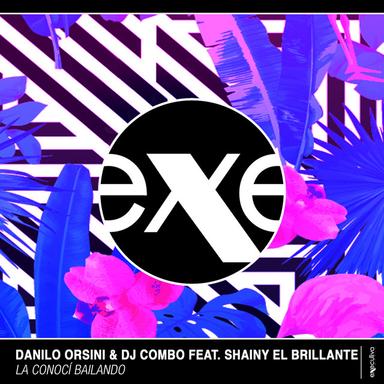 La Conoci Bailando (feat. Shainy El Brillante) - Stephan F Remix