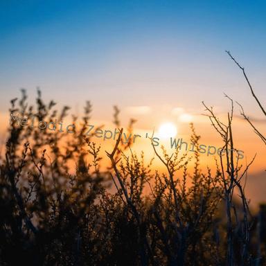 Twilight from the Window