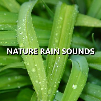 Striking Rain Sounds
