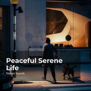 Creatures of the Forest