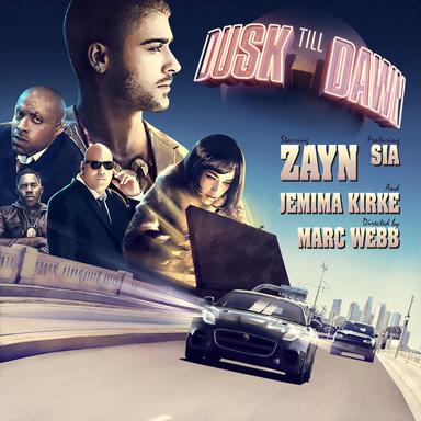 Dusk Till Dawn (feat. Sia) - Radio Edit
