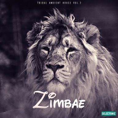 Zimbae: Tribal Ambient House, Vol. 2