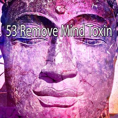 Approaching The Fairies Forest