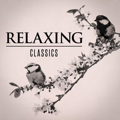 Piano Concerto No. 22 in E-Flat Major, K. 482: II. Andante