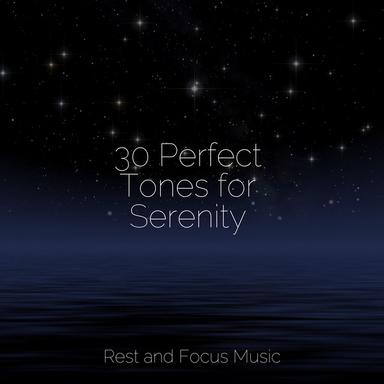 Morning Melodies