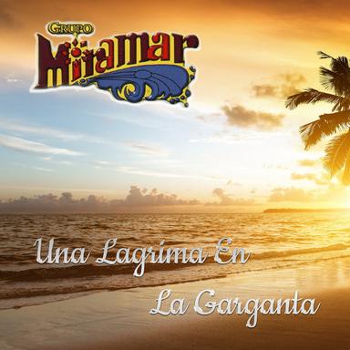 Una Lágrima en la Garganta