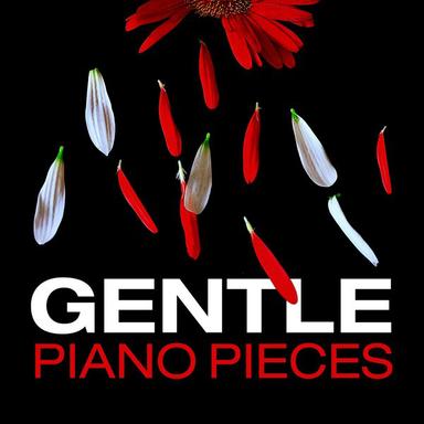 Piano Concerto No. 1 in G Minor, Op. 25: II. Andante