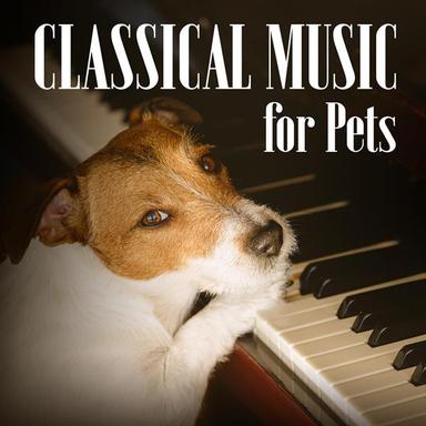 Piano Concerto No. 5 in E-Flat Major, Op. 73 "Emperor": II. Adagio un poco mosso