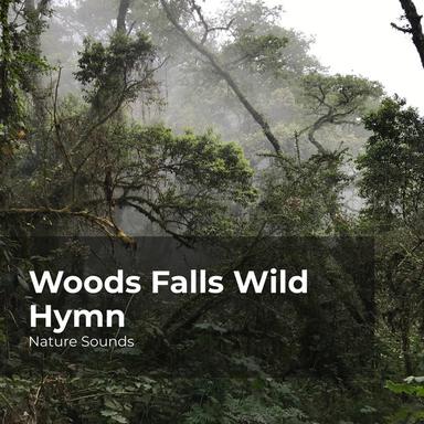 Jungle Nature Scenery