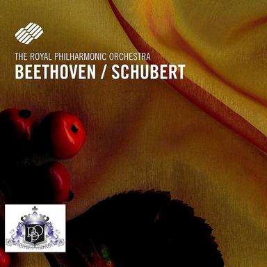 Symphony No. 5 In C Minor, Op. 68: II. Andante con moto