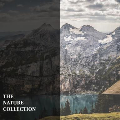 The Nature Collection