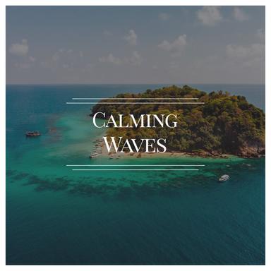 Waves Lapping at Shore