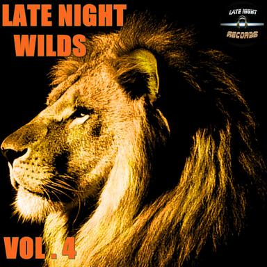 Prime House - Original Mix