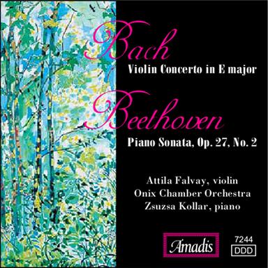 Violin Concerto in E Major, Bwv 1042: III. Allegro assai