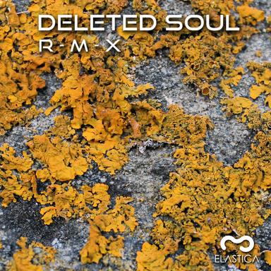 DanceHall Ram - Deleted Soul Remix