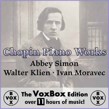 12 Etudes, Op. 25: No. 11 in A Minor "Winter Wind"