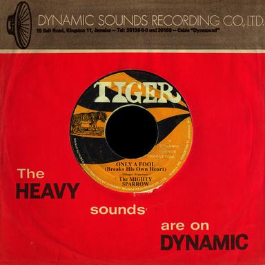 Only A Fool Breaks His Own Heart