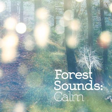 Life at the Waterside