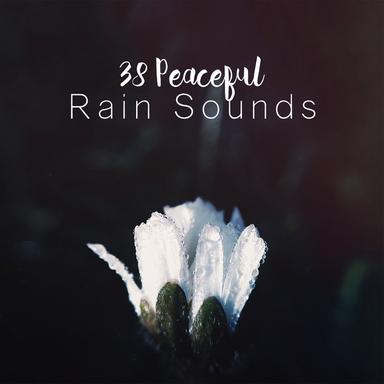 Rainy Mornings
