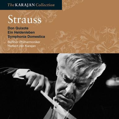 Strauss: Sinfonia Domestica, Op. 53, TrV 209: II. Scherzo (Munter)