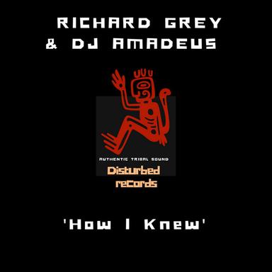 How I Knew - Original Mix