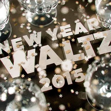 Wein, Weib und Gesang, Op. 333