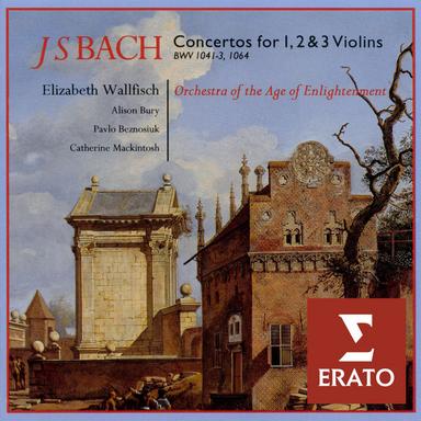 Bach, JS: Violin Concerto No. 1 in A Minor, BWV 1041: I. —