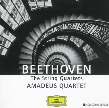 String Quartet No. 3 in D Major, Op. 18 No. 3: IV. Presto