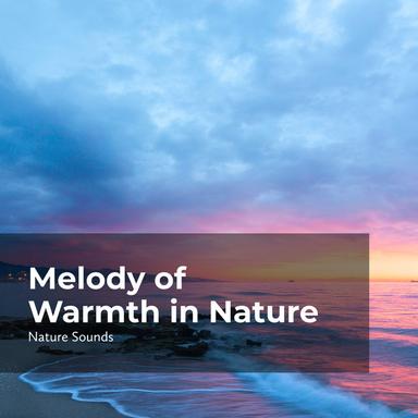 Hush Lush Wilderness