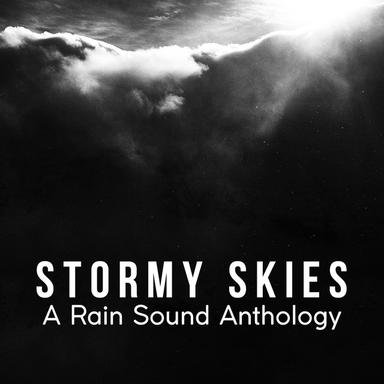 Birds in the Rainfall