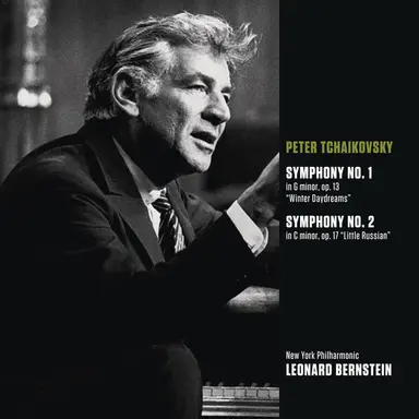 Symphony No. 2 in C Minor, Op. 17, TH 25 "Little Russian": II. Andantino marziale, quasi moderato