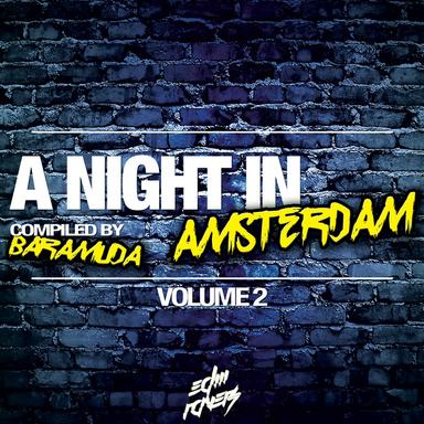 A Night in Amsterdam, Vol. 2 (Compiled By Baramuda)