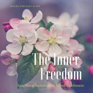 Wellness Spa - Original Mix