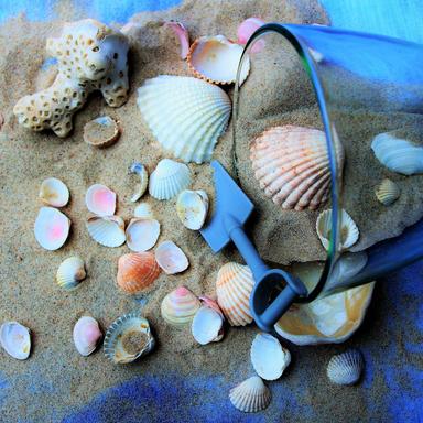 Storm & Wind Outside