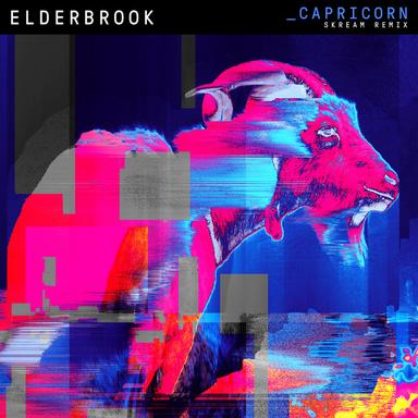 Capricorn - Skream Remix