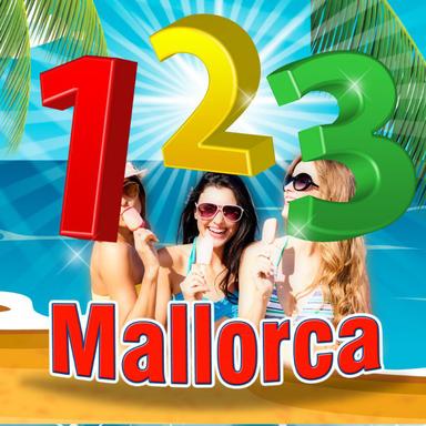 Endlich mal wieder nüchtern - Bulle Party Mix
