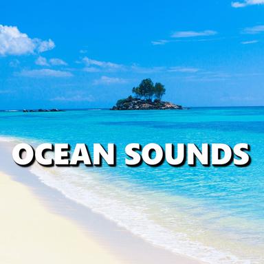 Cultivated Miami Ocean Sounds