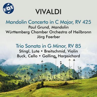 Mandolin Concerto in C Major, RV 425: III. Allegro