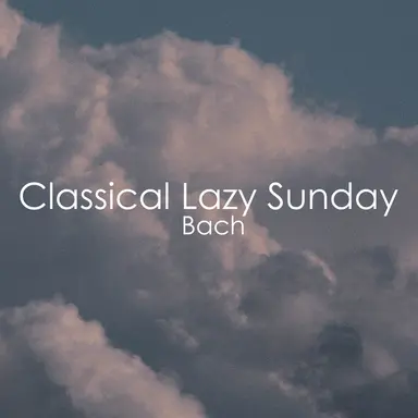 Concerto for 3 Harpsichords, Strings, and Continuo No. 1 in D minor, BWV 1063: 1. (Allegro)