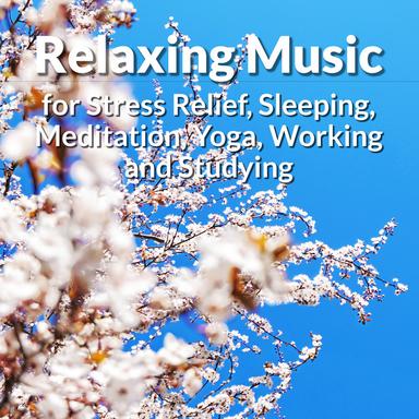 Background Music for You