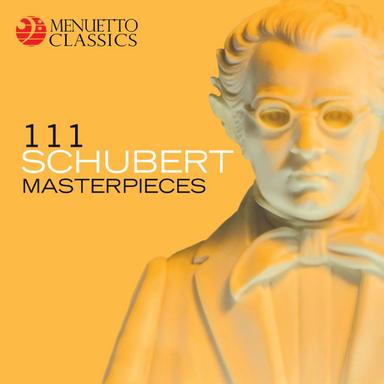 Symphony No. 5 in B-Flat Major, D. 485: I. Allegro