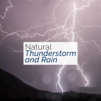 Rain on the Windshield