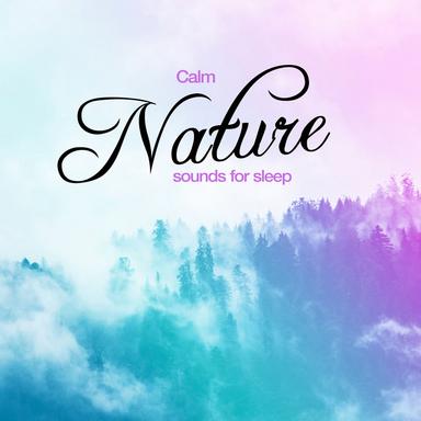 Birds at the Quiet Stream