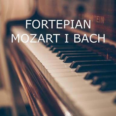 Piano Sonata No. 14 in C Minor, K. 457: 2. Adagio