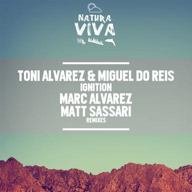 Ignition - Matt Sassari Remix