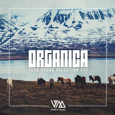 Drafty Bounce - Original Mix