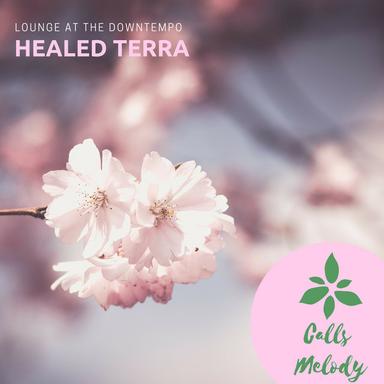 Pure Delicacy - Original Mix